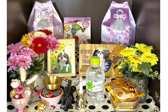 カプセルスタンドC