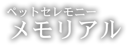 kBߍx̉ΑEVE{̓ybgZj[ A